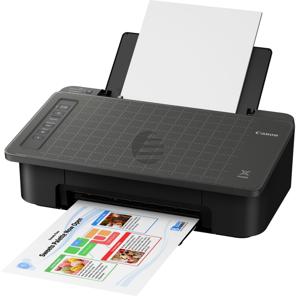 Canon Pixma TS 305 (2321C006)