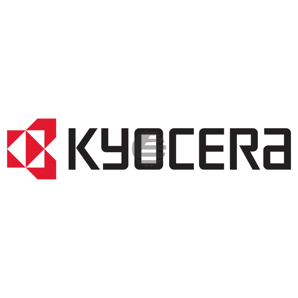 Kyocera Entwicklereinheit schwarz (2D993050, DV-500K)