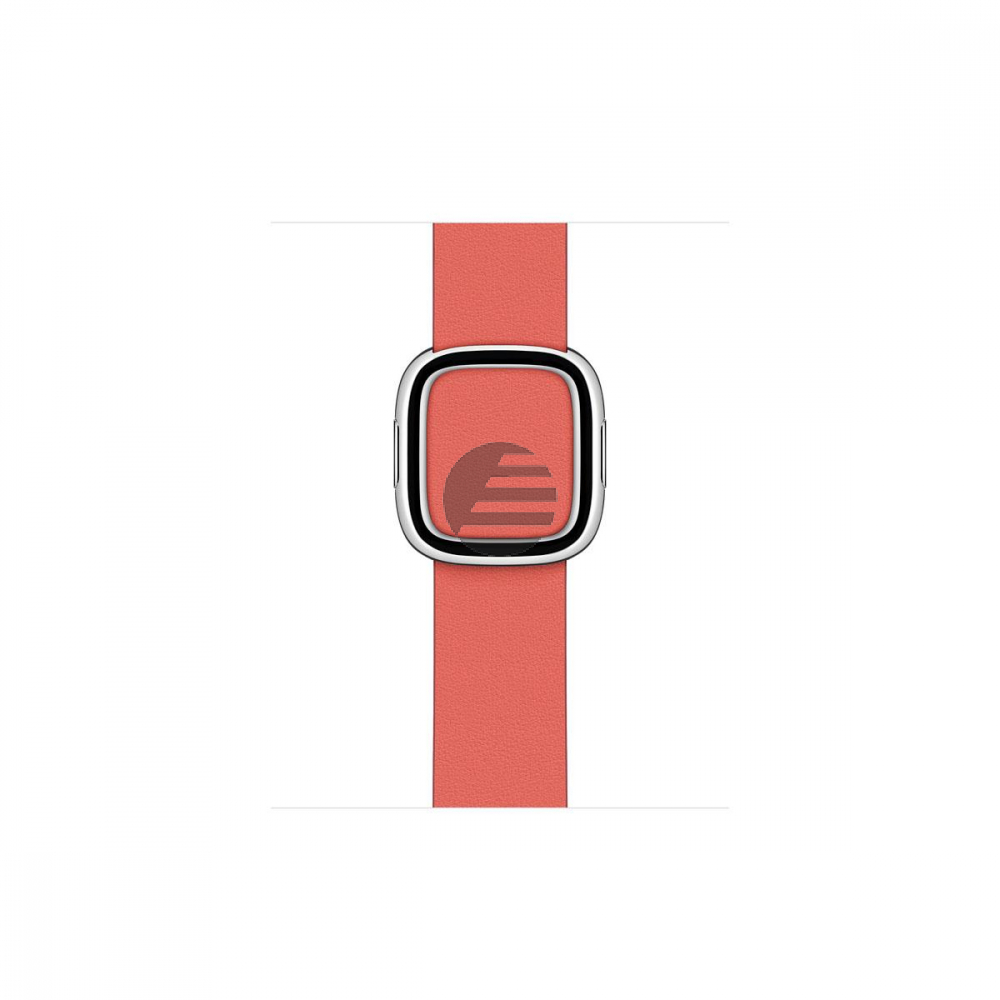 40mm Pink Citrus Modern Buckle - Large