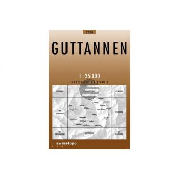 SWISSTOPO Landkarte 1230 Guttannen 1:25'000